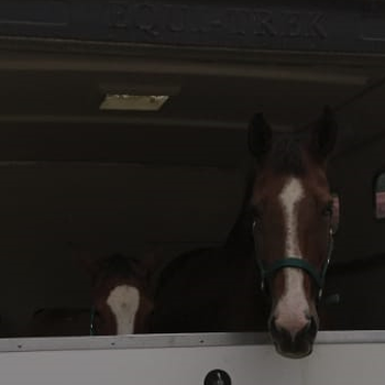 6-7.10.2018 Arezzo Tiberiade Rassegna Foals