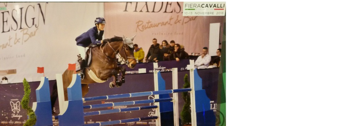 VERONA FIERACAVALLI