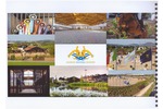 Carovana verso Cattolica Town    06 - 08 Ottobre 2017
