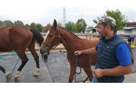 6-7.10.2018 Arezzo Tiberiade Rassegna Foals