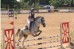 Campionato Pony Promesse: Greco Melissa con Orchidea ARGENTO