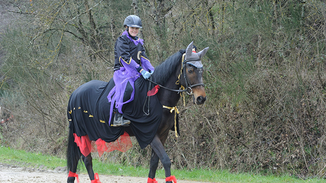 Carnevale a Tir na nog